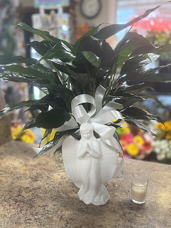 Ceramic Angel Planter with Peace lily